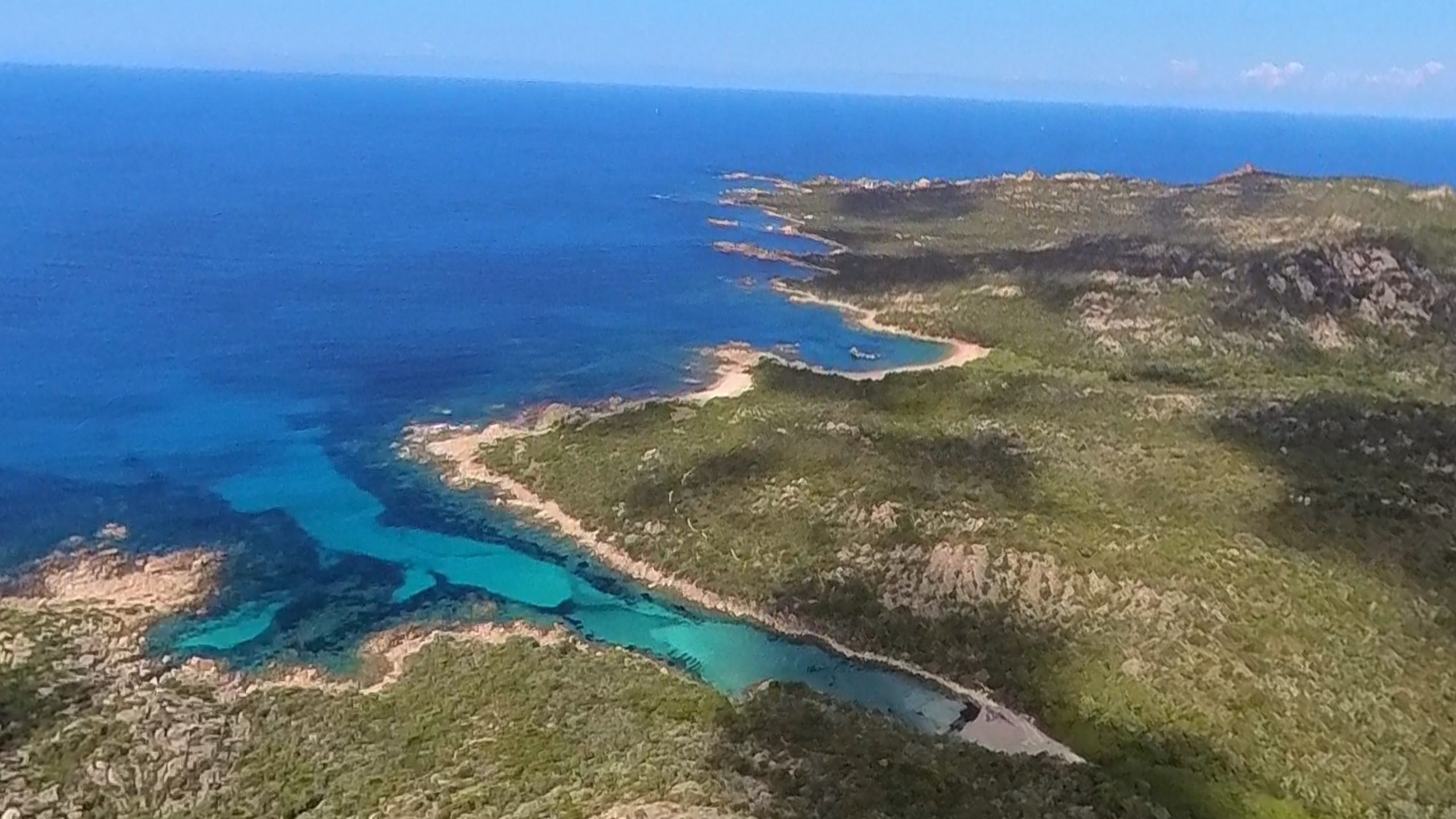 cala longa 5