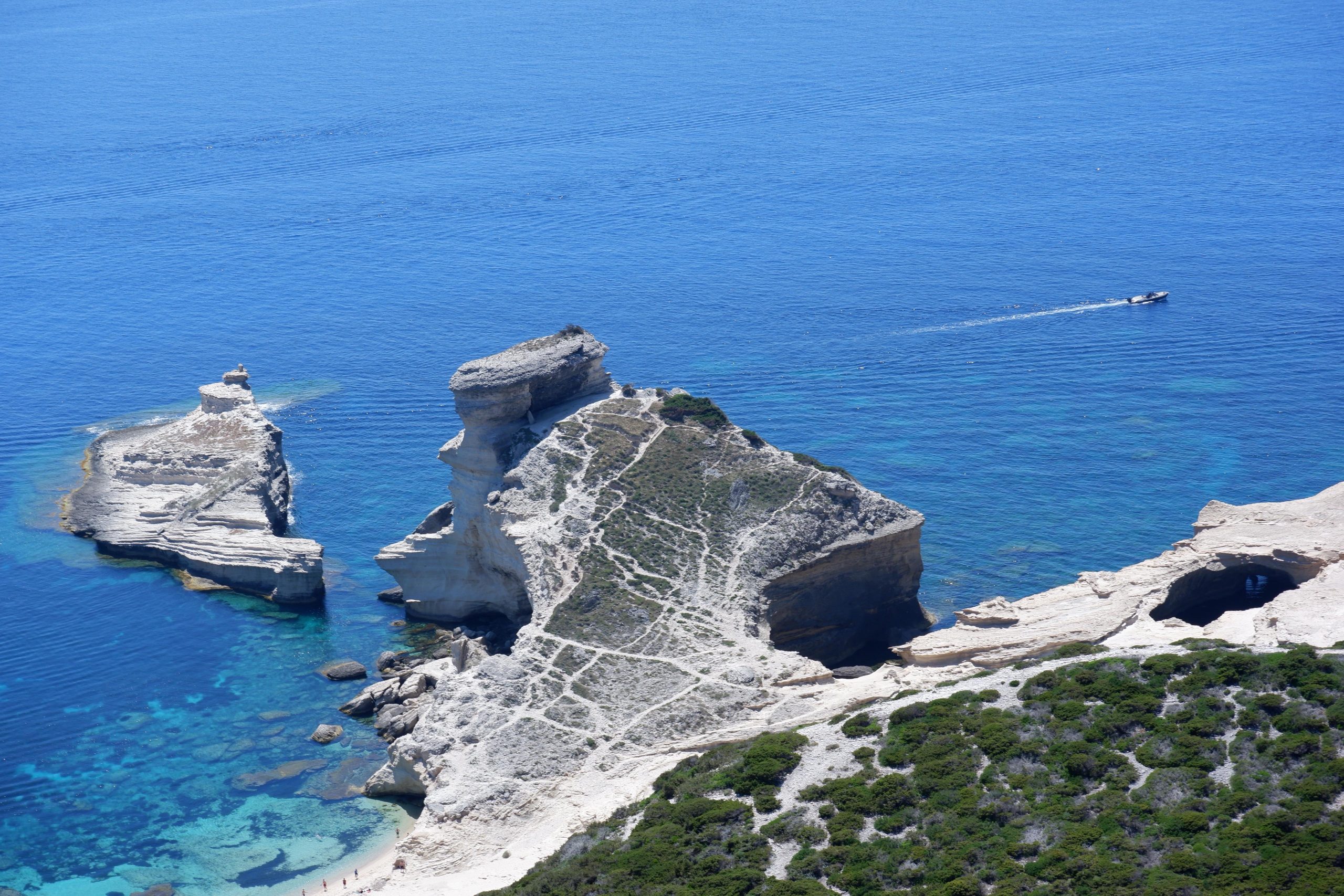 20f86eec-9d22-4ea6-b539-76df3c86c8c0